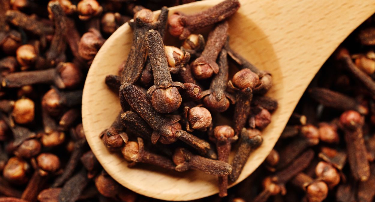 Cravo-da-índia (imagem: Canva)