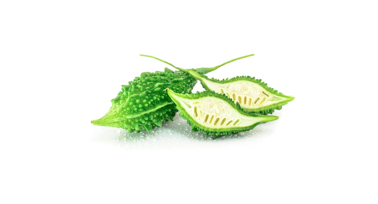 Melão de São Caetano fruto (imagem: Canva)