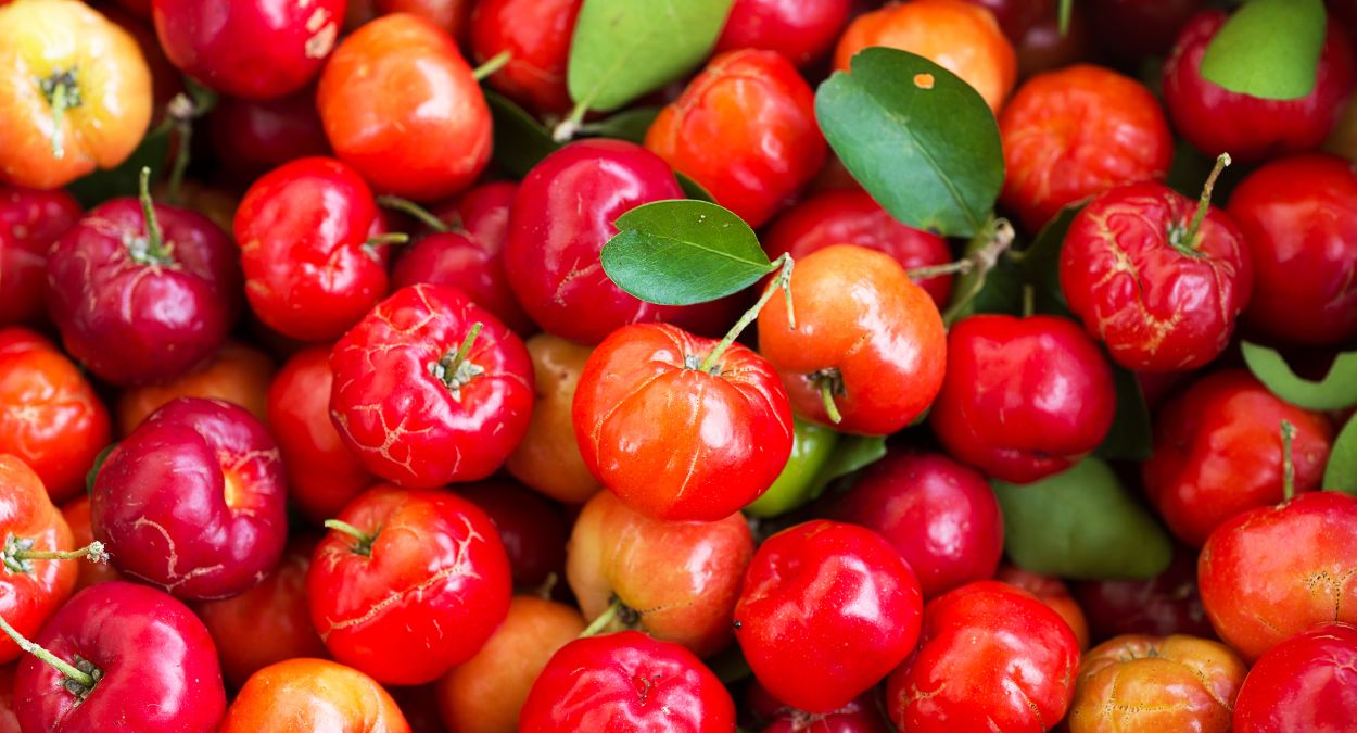Acerola (imagem: Canva)