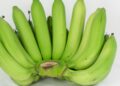 Banana verde (imagem: Canva)
