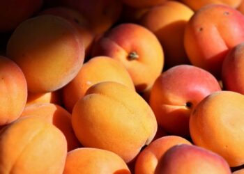 Pêssegos (imagem: Canva)