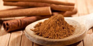 Canela (imagem: Canva)