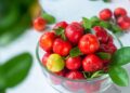 Acerola (imagem: Canva)