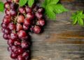Uvas (imagem: Canva)