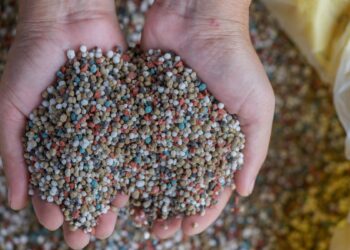 Adubo (imagem: Canva)