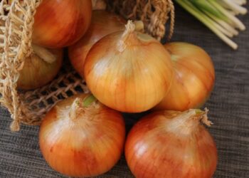 Cebola (imagem: Canva)