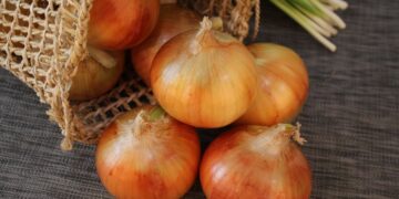 Cebola (imagem: Canva)