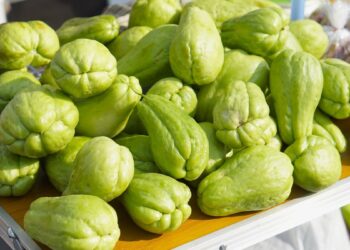 Chuchu (imagem: Canva)