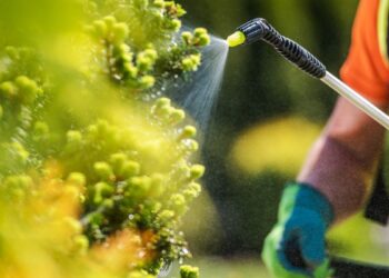 Fertilizante (imagem: Canva)