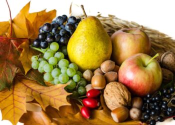 Frutas do Outono (imagem: Canva)