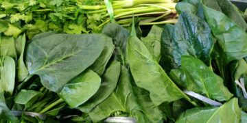 Hortaliças (imagem: Canva)