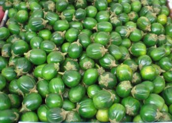 Jiló (imagem: Wikimedia Commons)