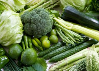 Hortaliças (imagem: Canva)