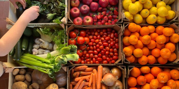 Legumes e verduras (imagem: Canva)