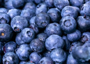 Mirtilo (imagem: Canva)