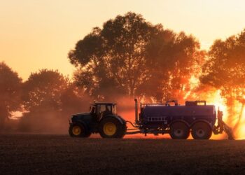 Adubação (imagem: Canva)