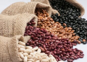 Feijão (imagem: Canva)