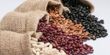 Feijão (imagem: Canva)