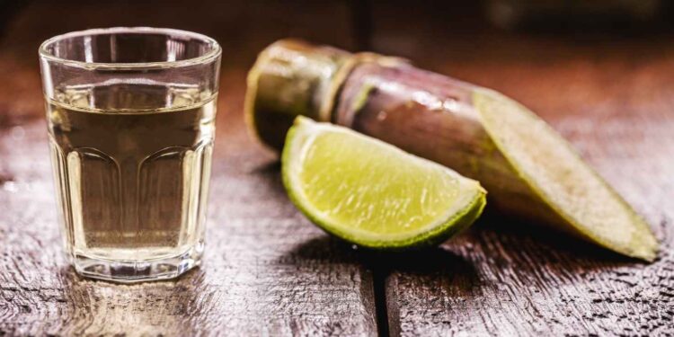 Festa da Cana e Festival da Cachaça (Imagem: Divulgação)