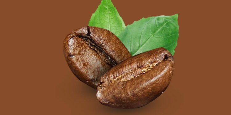 Festa do Café (Imagem: Canva)