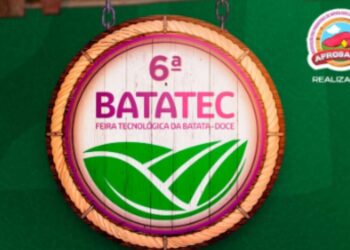 Batatec 2025: Feira destaca força da batata-doce no agronegócio