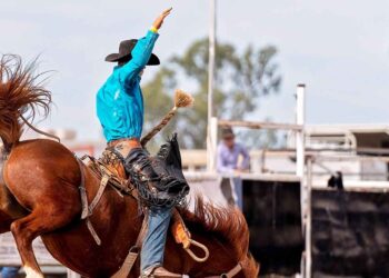 Rodeio Crioulo Nacional de Itapoá 2025 celebra tradição gaúcha