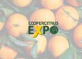 Coopercitrus Expo (imagem: Divulgação)
