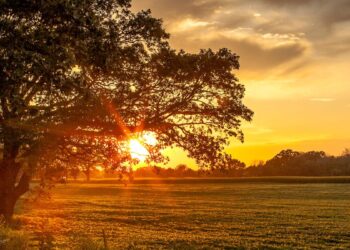 Fazenda (imagem: Canva)