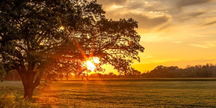 Fazenda (imagem: Canva)