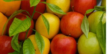 Frutas (imagem: Canva)