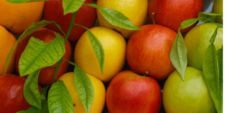 Frutas (imagem: Canva)