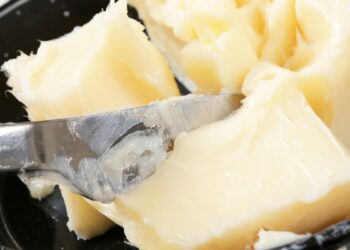 Banha de Porco (imagem: Canva)