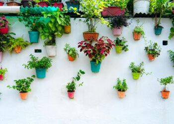 Horta vertical (imagem: Canva)