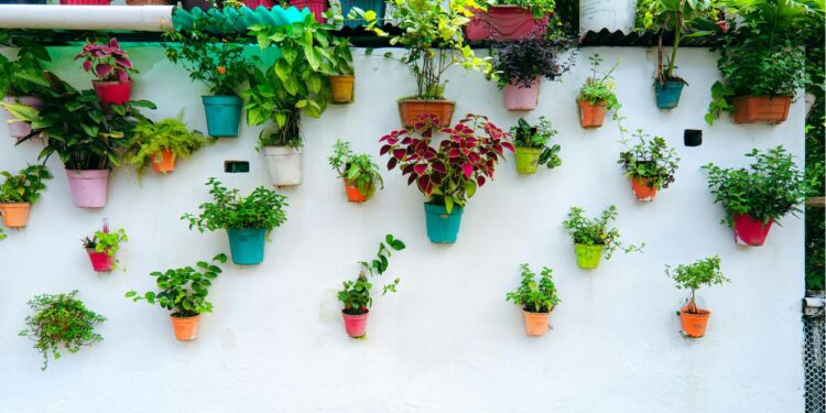 Horta vertical (imagem: Canva)