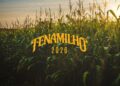 Fenamilho (imagem: Canva)