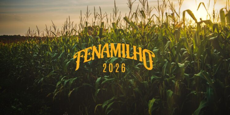 Fenamilho (imagem: Canva)