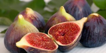 Figo (imagem: Canva)