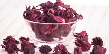 Hibisco (imagem: Ibrahim Hamroush - Getty Images via Canva)