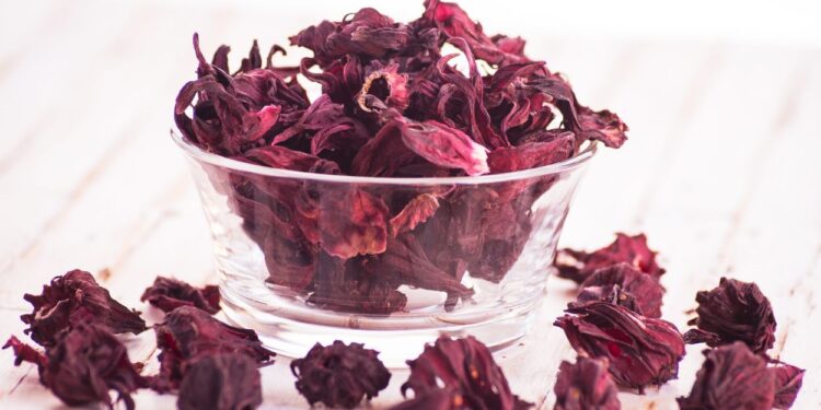 Hibisco (imagem: Ibrahim Hamroush - Getty Images via Canva)