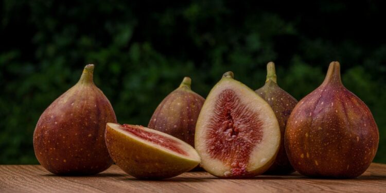 Figo (imagem: Rui Ruito - Getty Images via Canva)