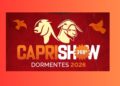 Caprishow 2026 confirma Exposição Nordestina Dorper e White Dorper em PE