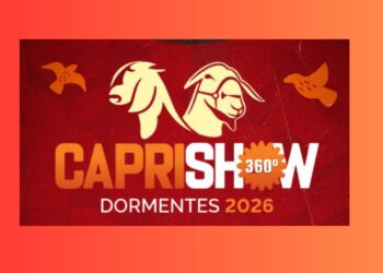 Caprishow 2026 confirma Exposição Nordestina Dorper e White Dorper em PE