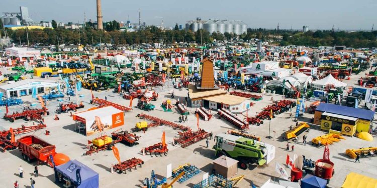 Feira (Imagem: Canva)