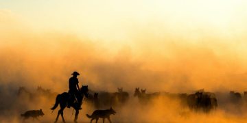 Rodeio (imagem: Esra Bürçün - Pexels via Canva)