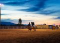 Rodeio Crioulo do PTG Porteira de Herveiras 2026 terá shows e premiação