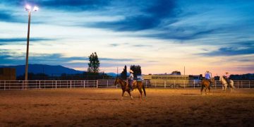 Rodeio Crioulo do PTG Porteira de Herveiras 2026 terá shows e premiação
