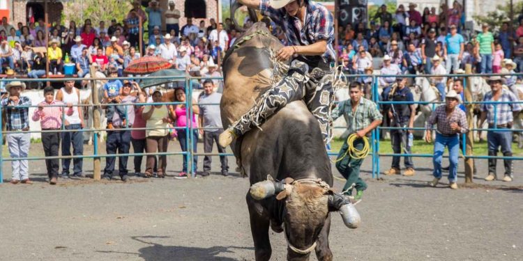 Rodeio Barretos 2026 (Imagem: Canva)