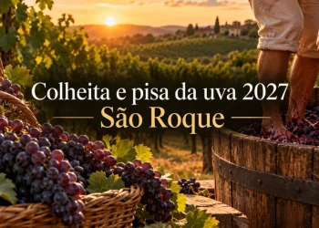 colheita e pisa da uva em são roque 2027