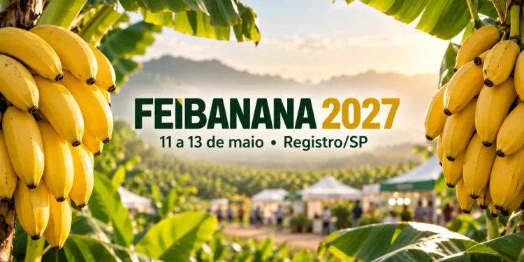 informações feibanana 2027