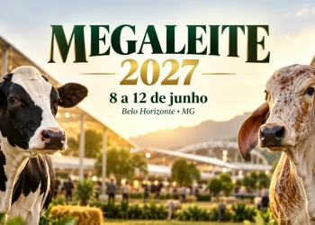 informações megaleite 2027